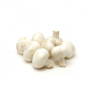 Button Mushroom